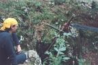 madars43a