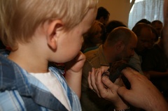 img 0603