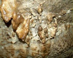 Krasová výzdoba, Srbské jeskyně
