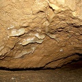 Zárodek záclon