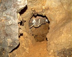 Rohovce a mini heliktit, Srbské jeskyně