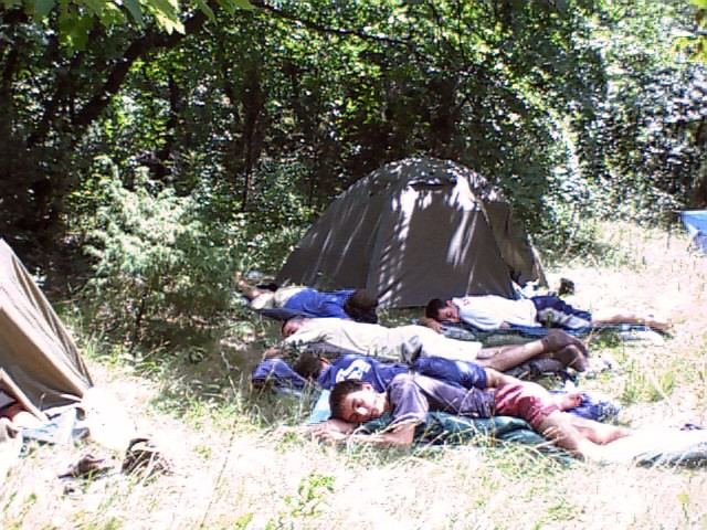06.jpg